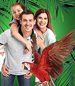 Anne ve Baba + 1 Çocuk